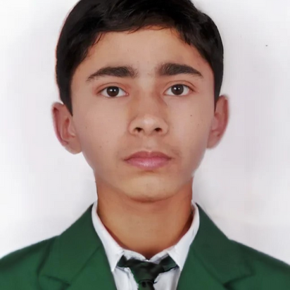 Brajesh K.